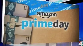 Consumer Reports' top Amazon Prime Day deals