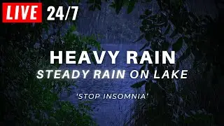 🔴 REAL RAIN for Sleeping FAST - Raining on Lake & Tree Leaves - LIVE 24/7