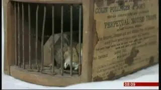 155 year old mousetrap (traps) (UK) - BBC News - 6th February 2016