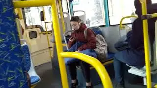 290 автобус по спб