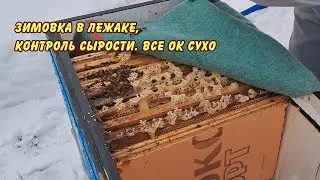 пчеловодство, зимовка в лежаке, контроль сырости  все ок сухо