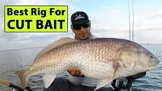 Best Way To Rig Cut Bait (Cross Between Fish Finder Rig & Knocker Rig)