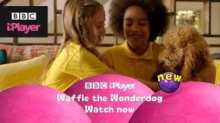 Waffle the Wonder Dog | Streaming Now on BBC iPlayer | Cbeebies