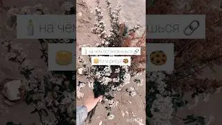 если собака съест саму себя, то она станет больше или исчезнет...? #diy_anna #tiktok #лучшее #врек