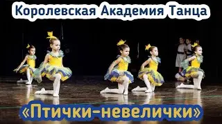 Детский танец «Птички-невелички» 5-6 лет. Лауреат 1 степени. балет. ballet dance