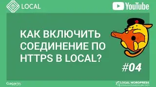 Как включить соединение по HTTPS (SSL сертификат локальный) в LOCAL?