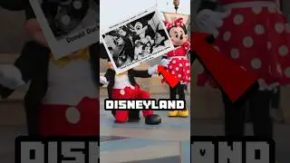 Giving Birth At Disneyland