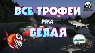 🔴РУССКАЯ РЫБАЛКА 4 (RUSSIAN FISHING 4)🔴 - ВСЕ ТРОФЕИ РЕКА БЕЛАЯ. ПОЧЁТНЫЙ РЫБОЛОВ.