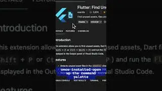 How to remove unused assets, files and dependencies in #flutter #programming  #tutorial