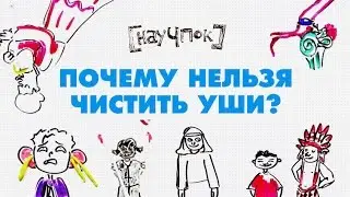 Почему нельзя чистить уши? - Научпок