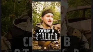 СИЗЫЙ В S.T.A.L.K.E.R. #shorts #игры #stalker