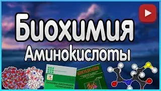 Биохимия. Лекция 1. Аминокислоты