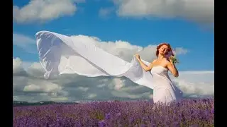 Ветер Севера. Аларания /Аудио кратко/ 