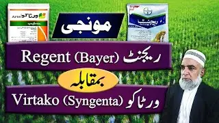 Difference between Regent and Virtako for insect control in Rice crop | Crop Reformer