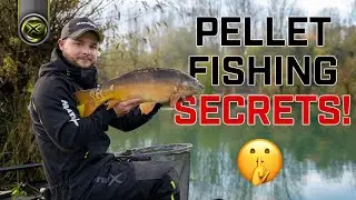 AIDAN MANSFIELD'S TOP SECRET PELLET TRICK!