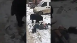 РаСеЙсКиЕ будни