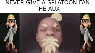 NEVER GIVE A SPLATOON PLAYER THE AUX 11