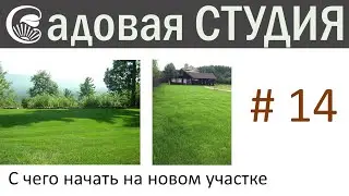 С чего начать на новом садовом участке