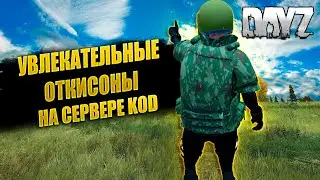 🔴🎥 Играем на проекте Kill or Die DayZ ! Стрим DAYZ #dayz #дейз