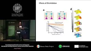 Jorge Mejias - Dorsolateral prefrontal cortex and beyond: distributed working memory across (...)