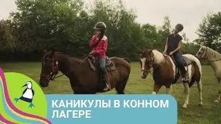 👨‍👨‍👧‍👧 ЛОШАДИ, ИСПЫТАНИЯ, ПРИКЛЮЧЕНИЯ В ЛЕТНЕМ ЛАГЕРЕ! Каникулы в конном лагере. STARMEDIAKIDS