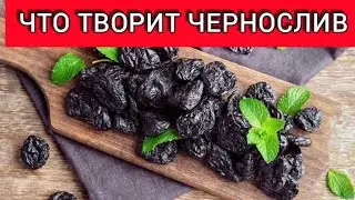 Чем полезен сушенный чернослив для организма