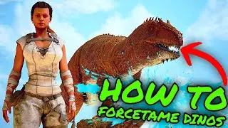 How To FORCETAME Dinos In Ark Survival Ascended!!!