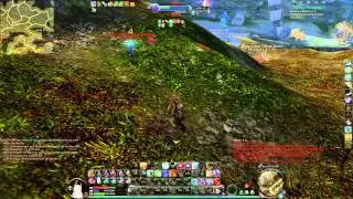 AION 4.0 PvP # ASSASSIN • Paralyzed # Vol 4.0