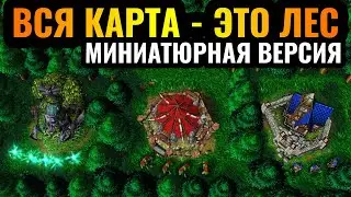 ТОЛЬКО ДЕРЕВЬЯ: ОЧЕНЬ маленькая карта! Вся карта - это ЛЕС, 8 игроков выживают в Warcraft 3 Reforged