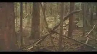 Bigfoot/Sasquatch Structures