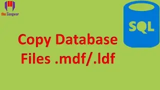 How to copy .mdf and .ldf files | Cant copy sql database | Unable to copy .mdf/.ldf files