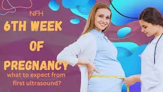 6th Week of #Pregnancy: Understanding Body Changes & #baby  Development | Pregnancy week by week