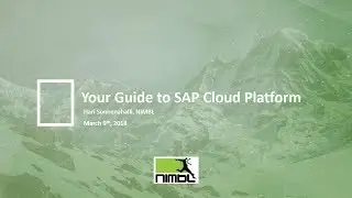 Webinar: Your Guide to SAP Cloud Platform