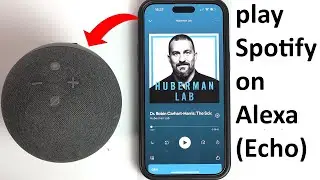 How to play Spotify on Alexa