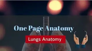 Lungs Anatomy| One Page Anatomy|#easyanatomy |MBBS|BAMS| ANATOMY IN HINDI