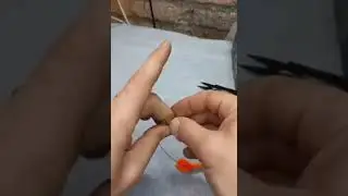 Щоб хвости не відкусувала риба... 🐟 Як вам такий монтаж?