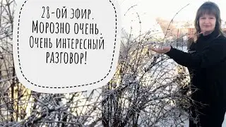 Морозненько, интересненько. Запись 28-го эфира.