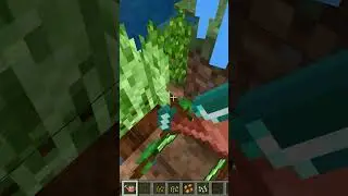 Новые ОВОЩИ: Помидоры, Огурцы... в Майнкрафт ПЕ - Скачать мод для Minecraft Bedrock