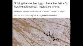 Sheepdog Herding: GPS Data vs Computer Model