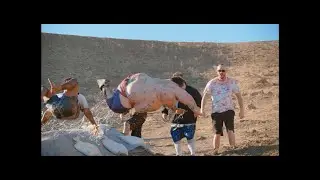 Jackass Forever: Wild Body Surfing Scene