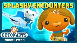 @Octonauts - 💦  SPLASHY Sea Creature Encounters! 🦑 | 3 Hours+ Full Episodes Marathon