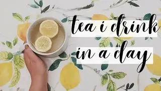 tea i drink in a day | recovering from being sick | Dana DeStefano