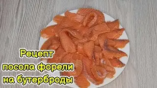 Как засолить форель. Рецепт посола форели на бутерброды