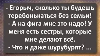 Старый Холостяк Егорыч! Сборник Самых Свежих Анекдотов! Юмор!