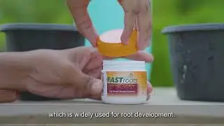 How to Use Divinetree Fastroot | Rooting Hormone Powder for Plants | Root Stimulant Powder #fastroot