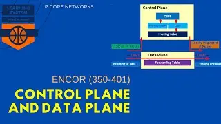 What is Control Plane and Data Plane |8.3 NETWORK AUTOMATION & PROGRAMMABILITY #CCNP​ #ENCOR 350-401