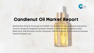 Candlenut Oil Market Report 2024 | Forecast, Market Size & Growth