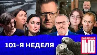 Редакция. News: 101-я неделя