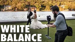 White Balance For Video EXPLAINED: How Cameras See Color & Light