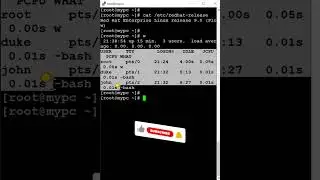 Command 🤩 to Check uptime in linux 🔥 | RHEL/CentOS 